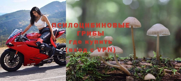 мяу мяу мука Снежинск